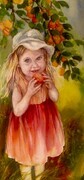 Apricot Harvest