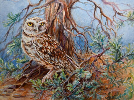 Burrowing Owl In Sage Brush