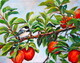 Chickadee on Apple Branch