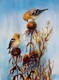 Goldfinches And Echinacea