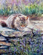 Lavender Cat