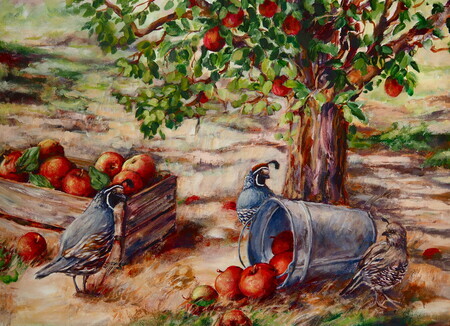 Okanagan Apple Harvest