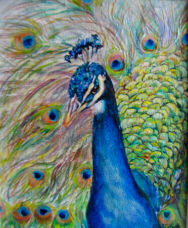 Peacock Proud Feathers